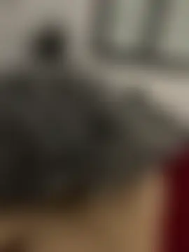 Pertunjukan Kamera Web vietAnhzip