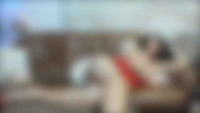 Chatroom en direct de sweetdelia