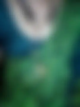 negatamil 即時聊天室