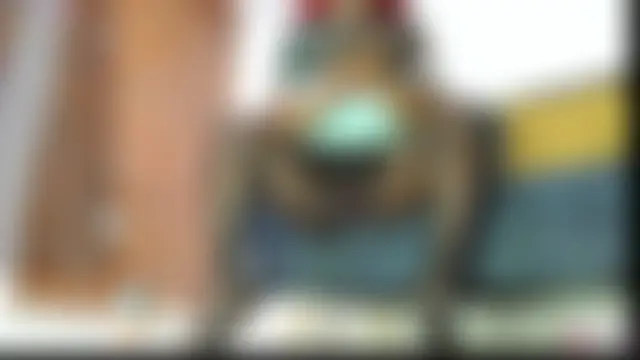 beatziedreamsn Live chat-huone