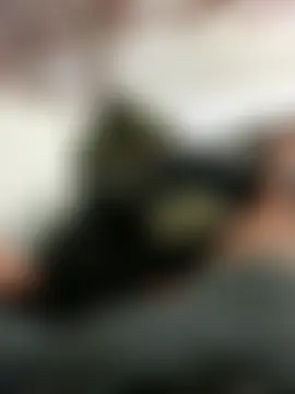 MonasticCanine Live chatroom