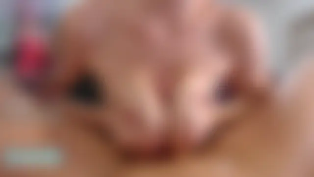 Felice_Favn 실시간 채팅방