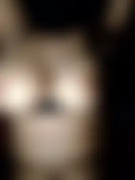 nosrat014 live-chat rom