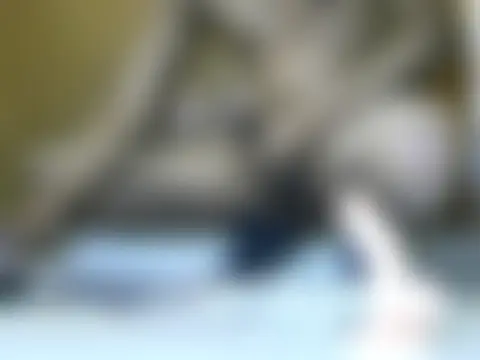 roadies Cameră chat live