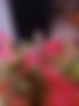 Phòng Chat Trực Tiếp Egyptianmilf2026