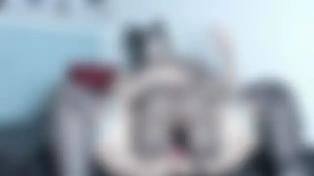 Sala de chat en directo de hinazuru