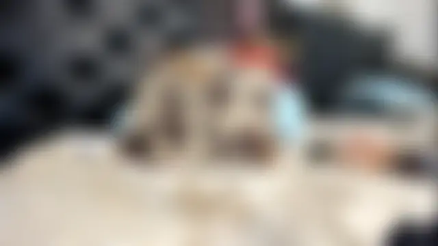 Sala de chat en directo de Kymy_marquez