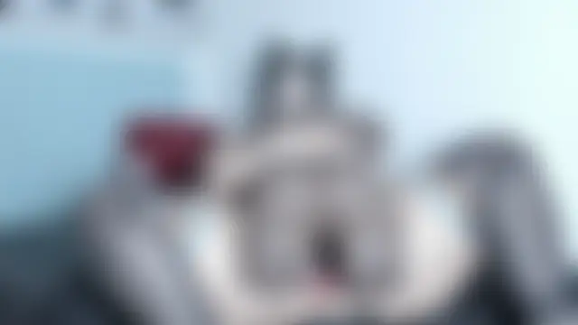 Pokój czatu na żywo – hinazuru