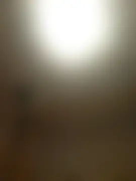 ห้องแชทสดของ piercingpik