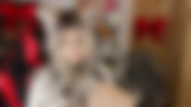 Sala de chat en directo de mekurisu