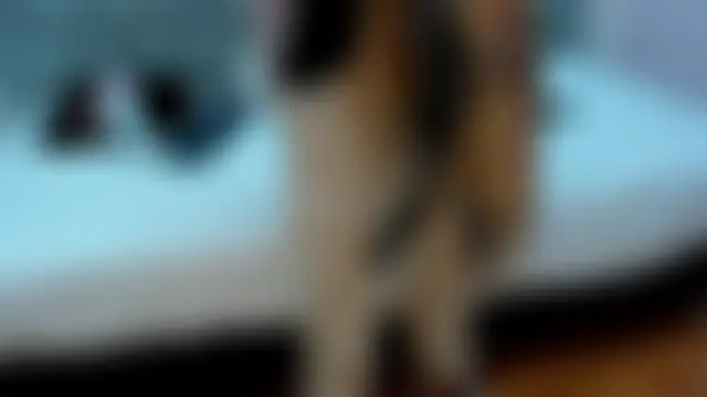 Sala de chat en directo de BianncaRibeiro