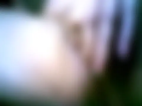 Chat soba uživo modela sofiaASS69