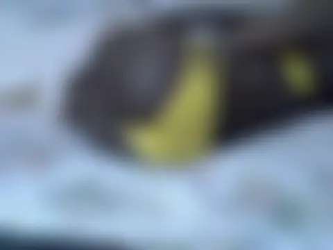 Pokój czatu na żywo – ebony_sonya