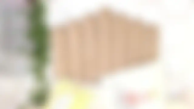 Chat ao vivo de angelsky11