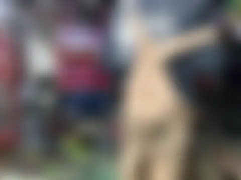 Bilik Sembang Langsung twistafatpipe