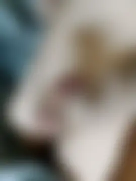 Koreanjjc – Naživo kamerová sex šou 