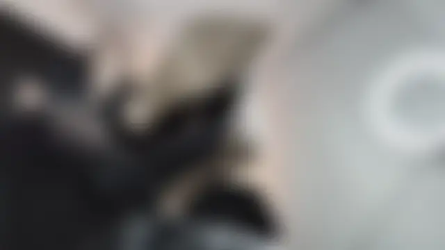 _Jade_16 – live chatrum