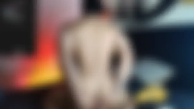 Chatroom en direct de jeisonstark