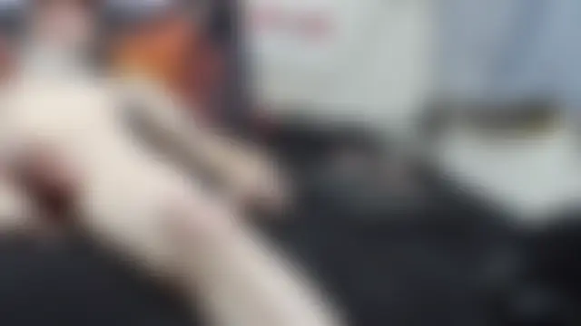 Show webcam de Spotless_Load