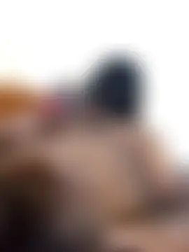 Hiptonos 现场聊天室