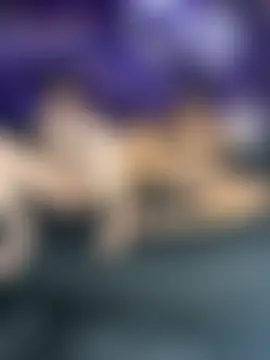 Brutal_FullUrgia69's Webcam Show