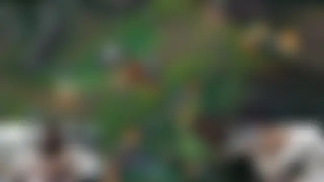 CeriseLapinen Live chat-huone