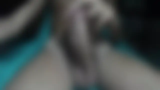 غرفة دردشة VascoIT المباشرة