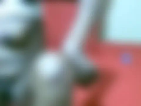 SEXYCURVYTALLY Obrolan Langsung XXX