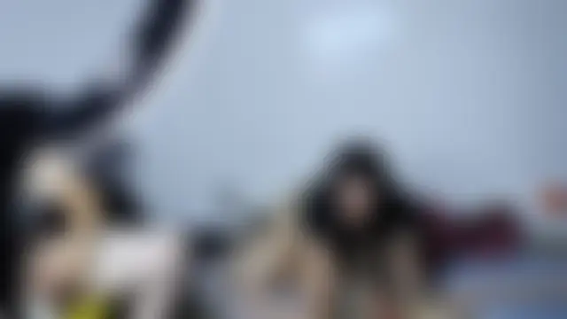 zekefotoslive's Webcam Show