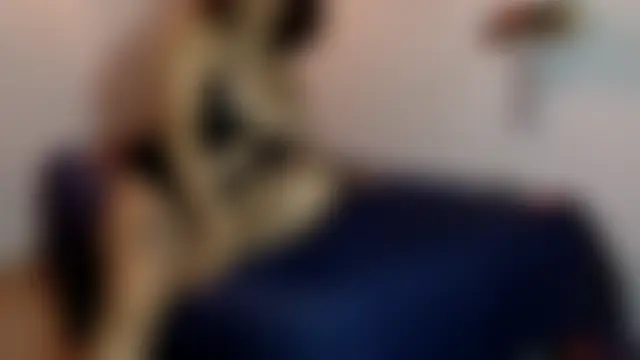 indomitaFox Obrolan Langsung XXX