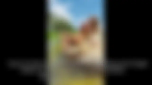 IsabellaFerreiraa Adlı Modelin Canlı XXX Sohbeti