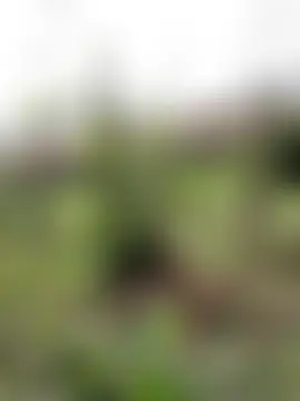 ngan-cute's Live XXX Chat