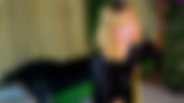 nena_cupcake_ Chat Room in diretta