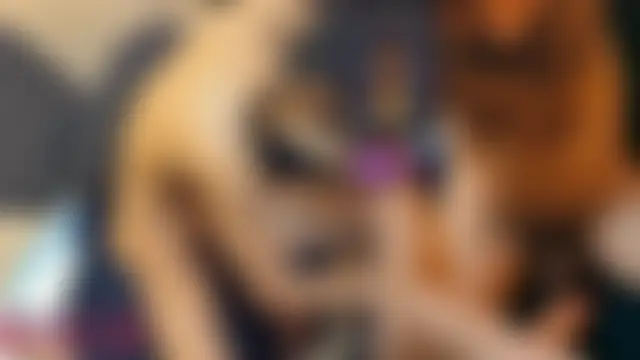 Toronto325 Webcam-Show