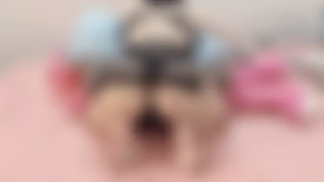 Anasian's Live XXX Chat