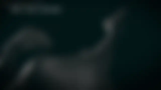 Chat +18 de _arta_ ao vivo