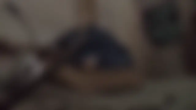 MYM69_-'s Webcam Show