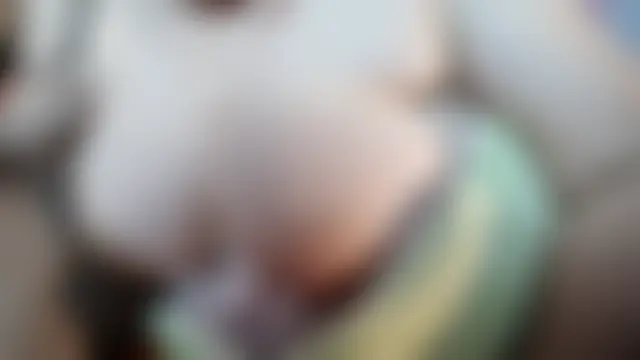 AngelwithEcup Live XXX-Chat