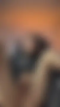 Sebastian_Reedのウェブカメラショー