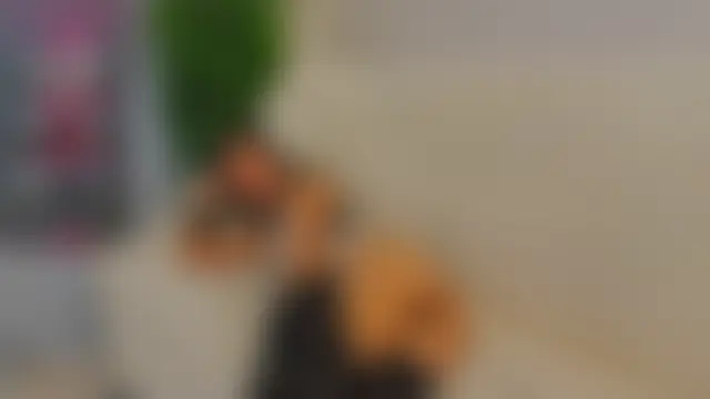 Chat XXX en directo de DeloresOkoren