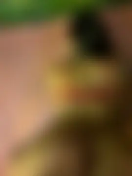 HoneybeeDiamondsのウェブカメラショー