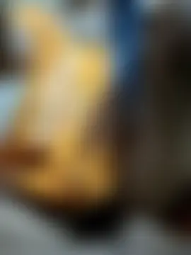 Sweet-runi Webcam-Show