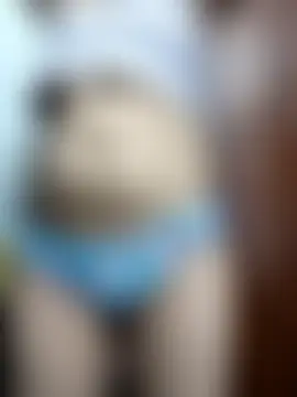 PUNAM456 Webcam-Show