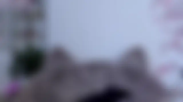 sami_monroe's Live XXX Chat