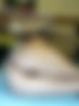 MS-66's Live XXX Chat