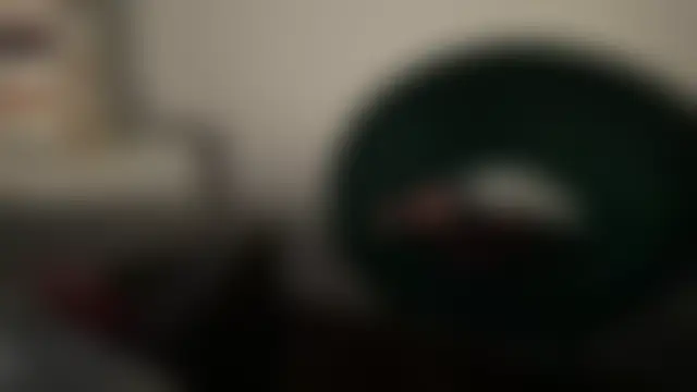 SlowVenomXX's Webcam Show