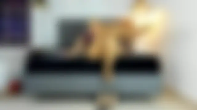 missnatash লাইভ XXX চ্যাট