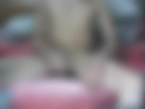 Fundy37's Webcam Show