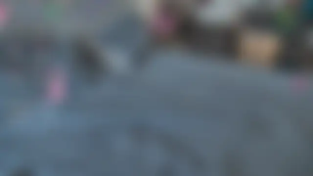 Show webcam de _leediseeeex_