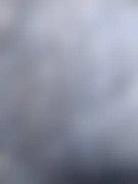 jellydicks' Webcam Show